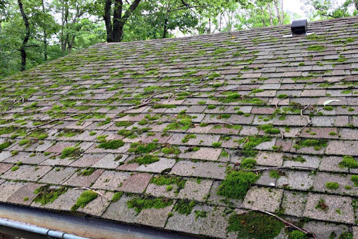 mossy roof